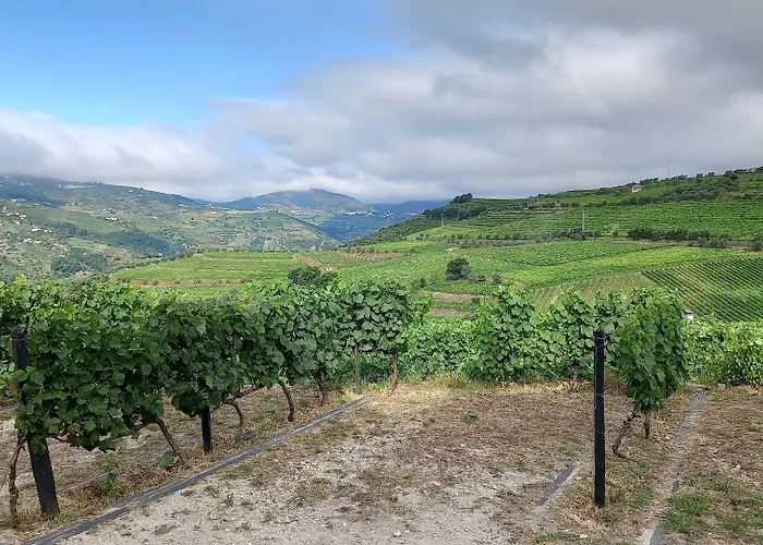 빌라 Casa Nª Sra. Do Carmo - 페소다레과